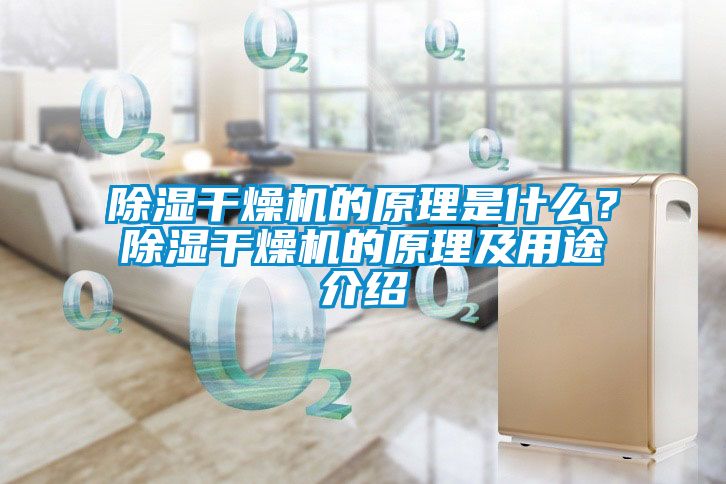 除湿干燥机的原理是什么？除湿干燥机的原理及用途介绍