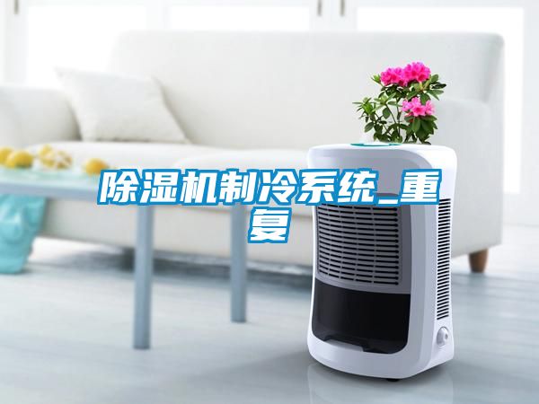 91抖音免费看片制冷系统_重复