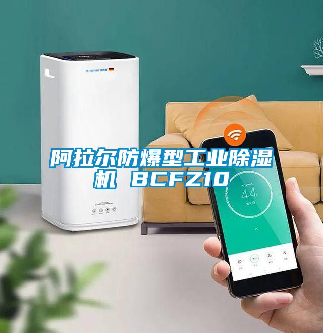 阿拉尔防爆型工业91抖音免费看片 BCFZ10