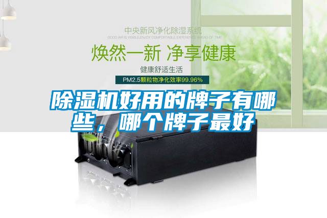 91抖音免费看片好用的牌子有哪些，哪个牌子最好