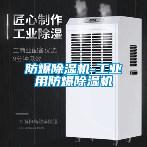 防爆91抖音免费看片-工业用防爆91抖音免费看片