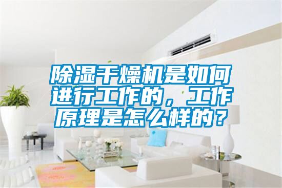 除湿干燥机是如何进行工作的，工作原理是怎么样的？