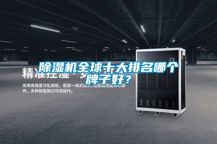 91抖音免费看片全球十大排名哪个牌子好？