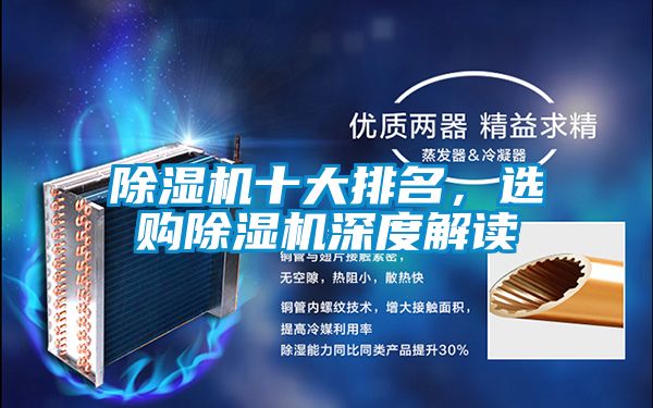 91抖音免费看片十大排名，选购91抖音免费看片深度解读