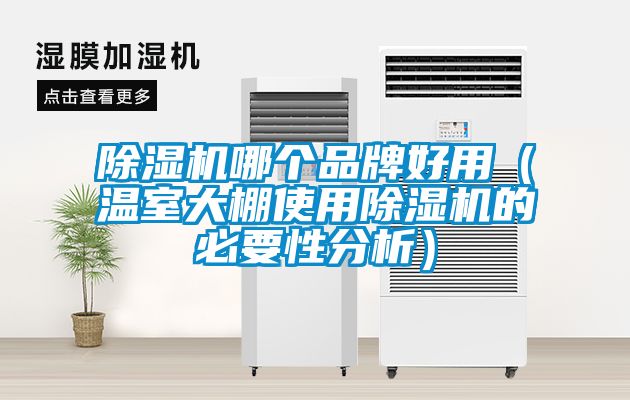 91抖音免费看片哪个品牌好用（温室大棚使用91抖音免费看片的必要性分析）