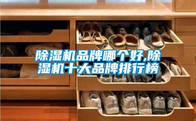 91抖音免费看片品牌哪个好,91抖音免费看片十大品牌排行榜