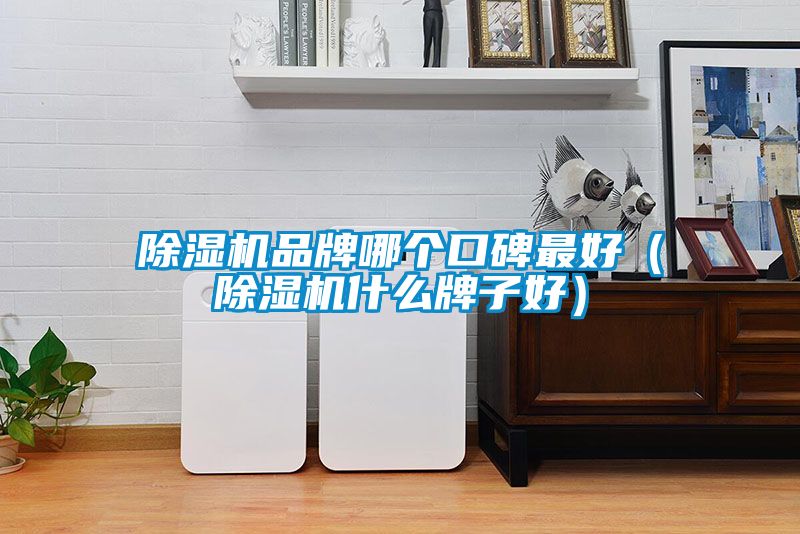 91抖音免费看片品牌哪个口碑最好（91抖音免费看片什么牌子好）