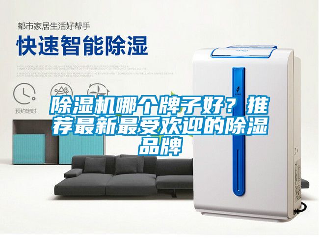 91抖音免费看片哪个牌子好？推荐最新最受欢迎的除湿品牌