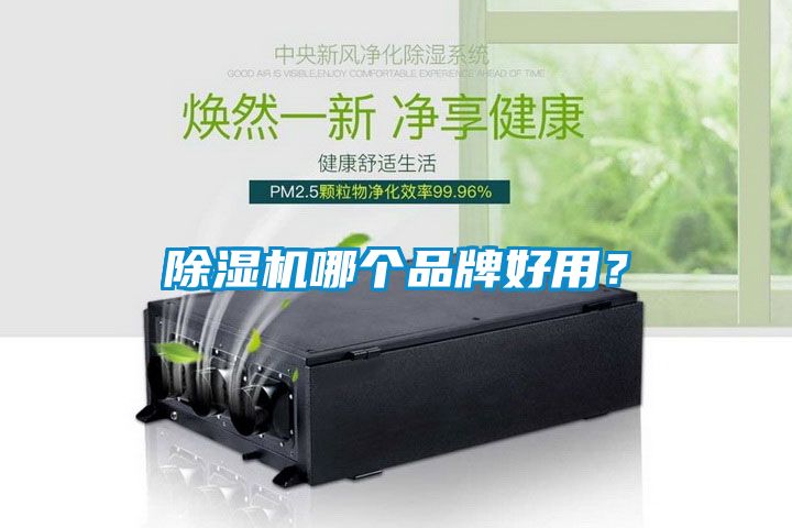 91抖音免费看片哪个品牌好用？