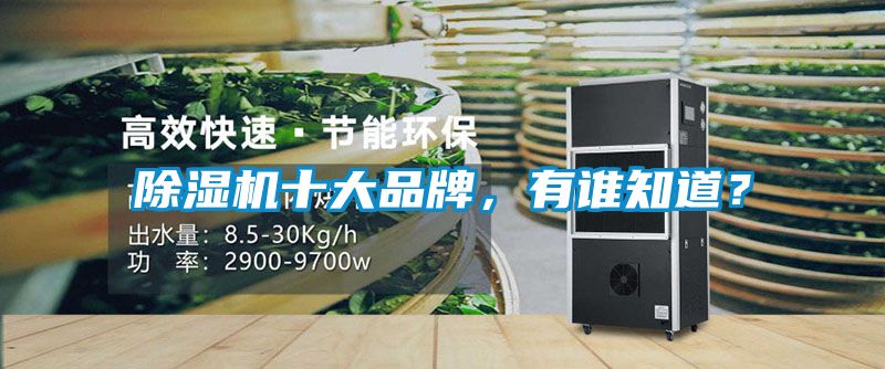 91抖音免费看片十大品牌，有谁知道？