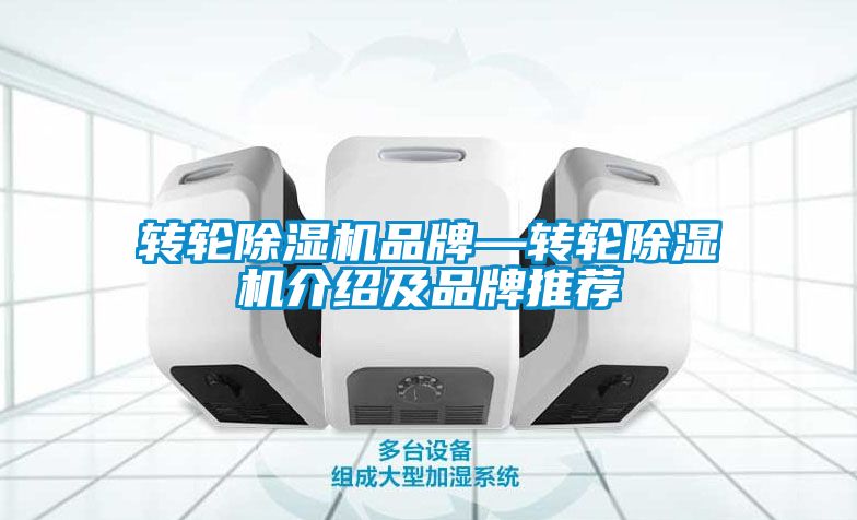 转轮91抖音免费看片品牌—转轮91抖音免费看片介绍及品牌推荐