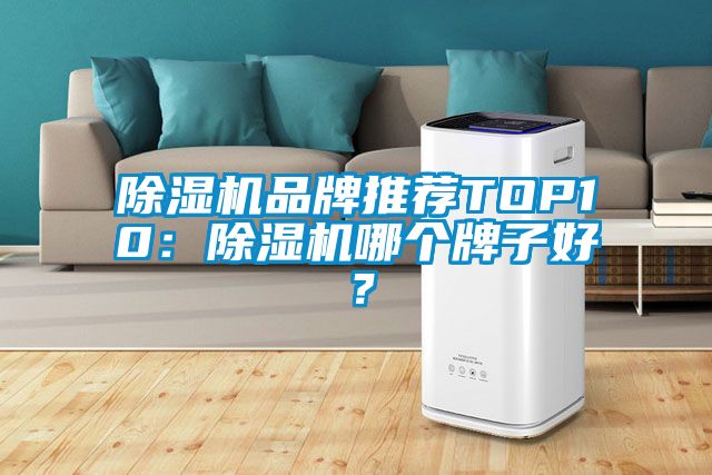 91抖音免费看片品牌推荐TOP10：91抖音免费看片哪个牌子好？