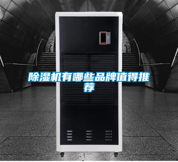 91抖音免费看片有哪些品牌值得推荐