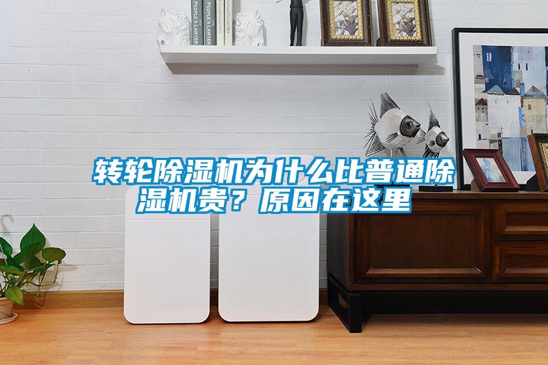 转轮91抖音免费看片为什么比普通91抖音免费看片贵？原因在这里