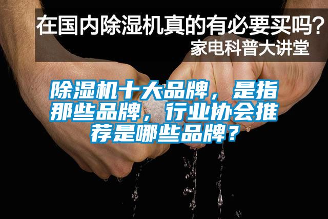 91抖音免费看片十大品牌，是指那些品牌，行业协会推荐是哪些品牌？