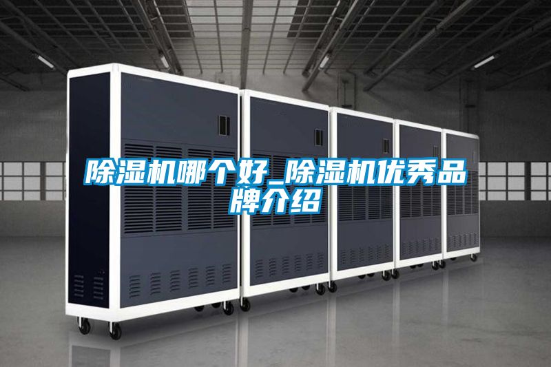 91抖音免费看片哪个好_91抖音免费看片优秀品牌介绍