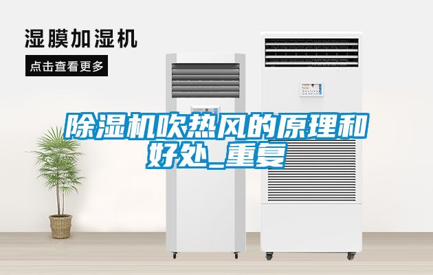 91抖音免费看片吹热风的原理和好处_重复