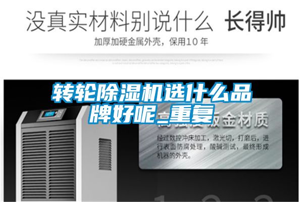 转轮91抖音免费看片选什么品牌好呢_重复