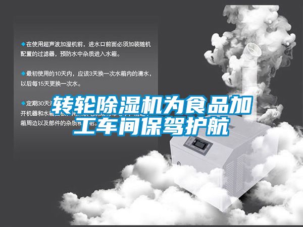 转轮91抖音免费看片为食品加工车间保驾护航