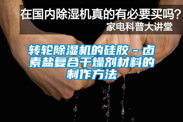 转轮91抖音免费看片的硅胶－卤素盐复合干燥剂材料的制作方法