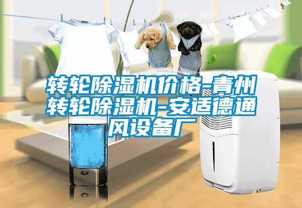 转轮91抖音免费看片价格-青州转轮91抖音免费看片-安适德通风设备厂
