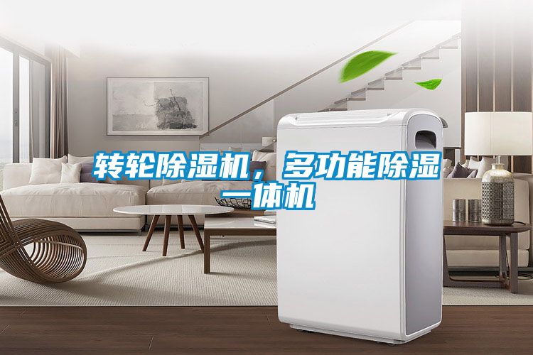 转轮91抖音免费看片，多功能除湿一体机
