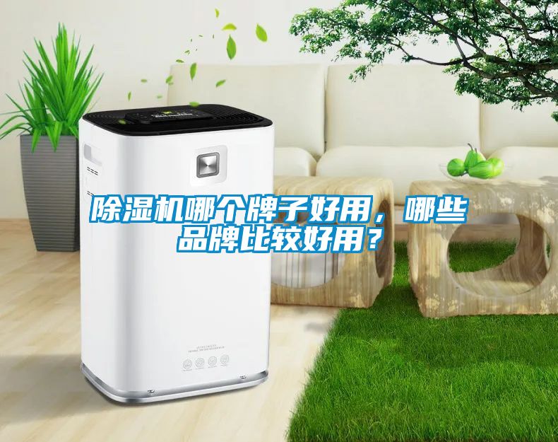 91抖音免费看片哪个牌子好用，哪些品牌比较好用？