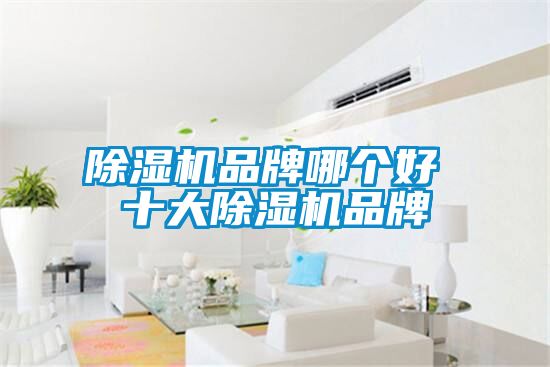 91抖音免费看片品牌哪个好 十大91抖音免费看片品牌