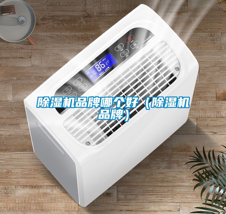 91抖音免费看片品牌哪个好（91抖音免费看片品牌）