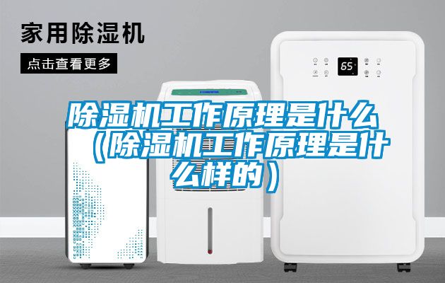 91抖音免费看片工作原理是什么（91抖音免费看片工作原理是什么样的）