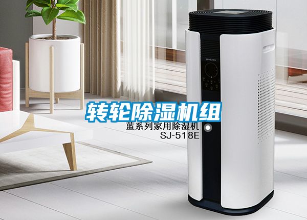 转轮91抖音免费看片组