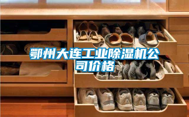 鄂州大连工业91抖音免费看片公司价格