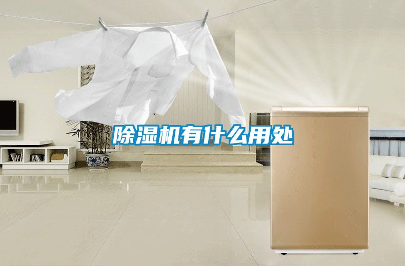 91抖音免费看片有什么用处