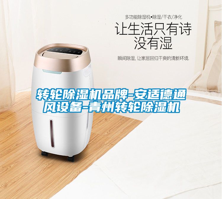 转轮91抖音免费看片品牌-安适德通风设备-青州转轮91抖音免费看片