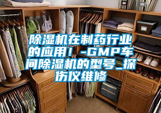 91抖音免费看片在制药行业的应用！-GMP车间91抖音免费看片的型号_探伤仪维修