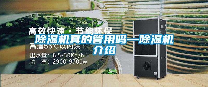 91抖音免费看片真的管用吗—91抖音免费看片介绍