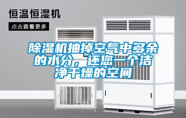 91抖音免费看片抽掉空气中多余的水分，还您一个洁净干燥的空间