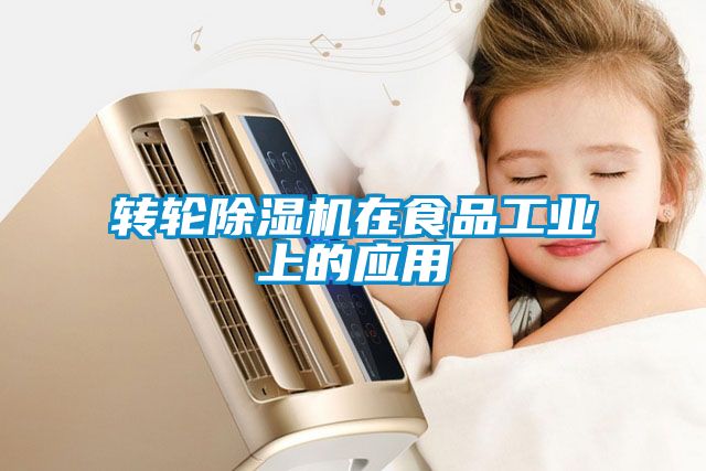 转轮91抖音免费看片在食品工业上的应用