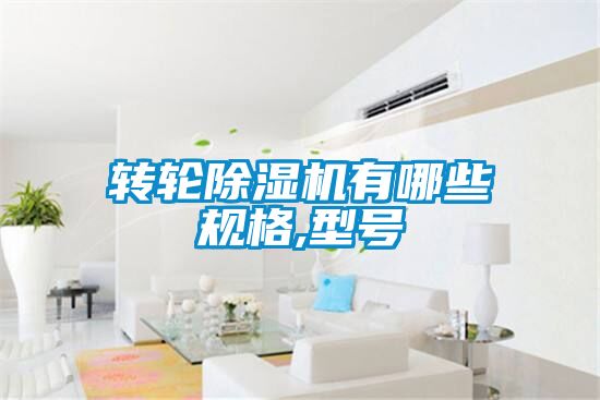 转轮91抖音免费看片有哪些规格,型号