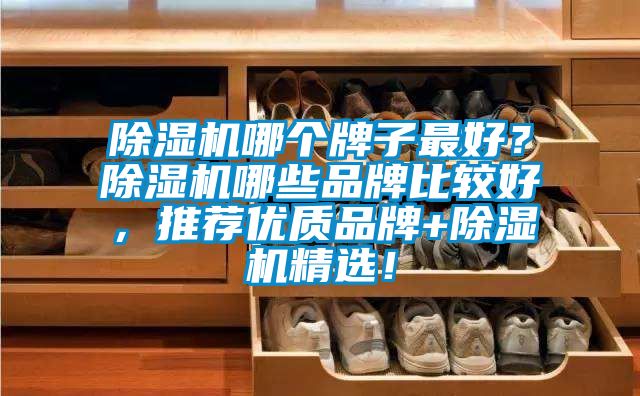 91抖音免费看片哪个牌子最好？91抖音免费看片哪些品牌比较好，推荐优质品牌+91抖音免费看片精选！