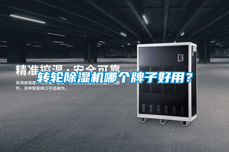转轮91抖音免费看片哪个牌子好用？