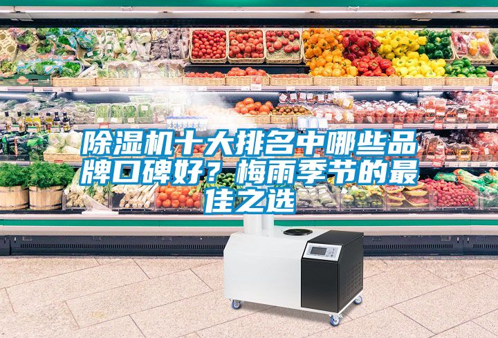91抖音免费看片十大排名中哪些品牌口碑好？梅雨季节的最佳之选
