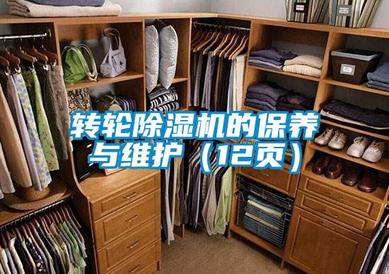 转轮91抖音免费看片的保养与维护（12页）
