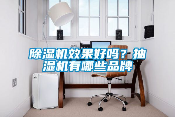 91抖音免费看片效果好吗？抽湿机有哪些品牌