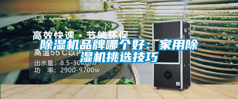 91抖音免费看片品牌哪个好：家用91抖音免费看片挑选技巧