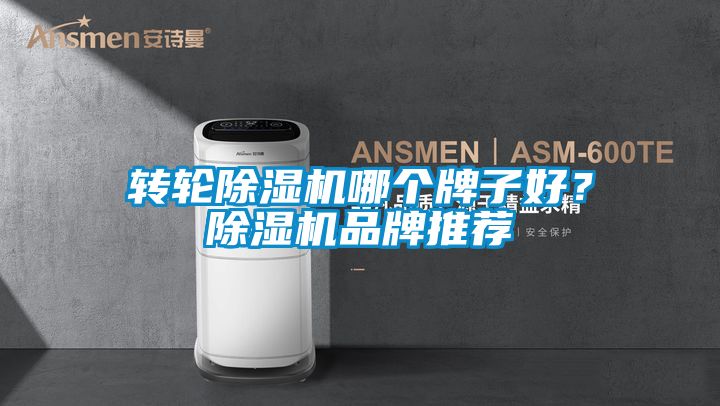 转轮91抖音免费看片哪个牌子好？91抖音免费看片品牌推荐