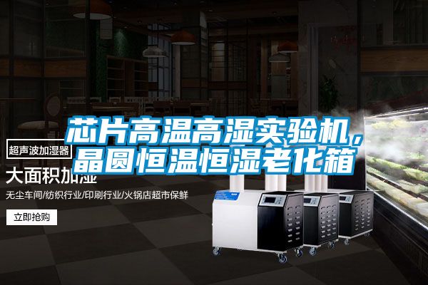 芯片高温高湿实验机，晶圆恒温恒湿老化箱
