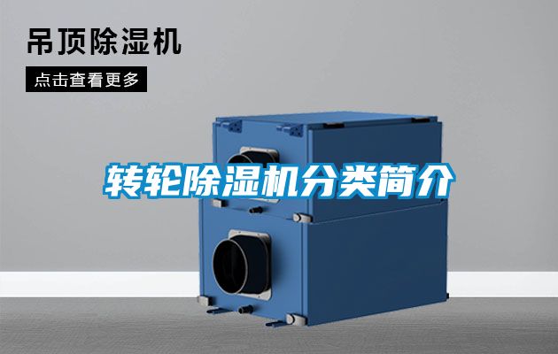 转轮91抖音免费看片分类简介