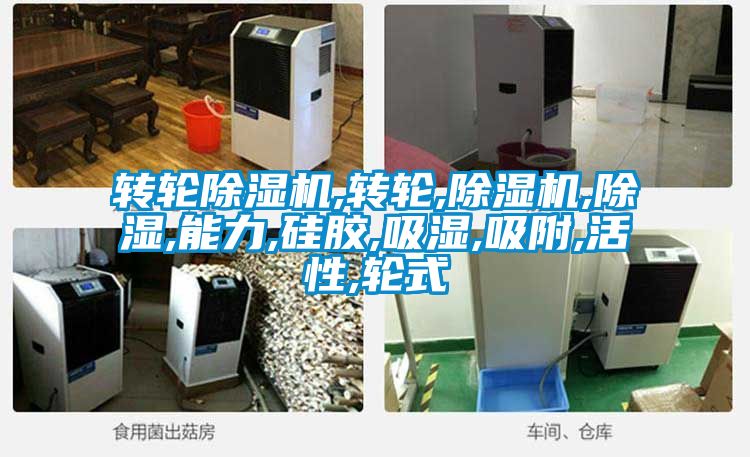 转轮91抖音免费看片,转轮,91抖音免费看片,除湿,能力,硅胶,吸湿,吸附,活性,轮式