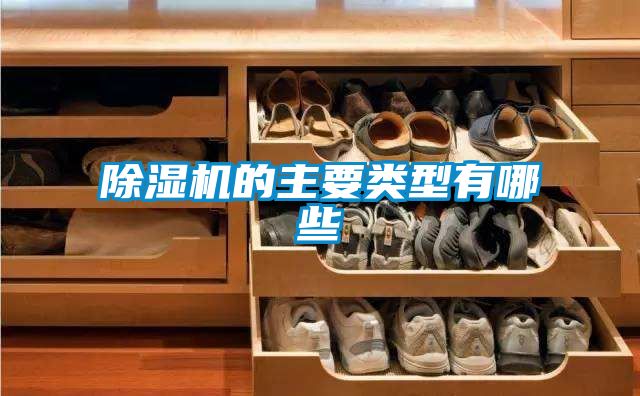 91抖音免费看片的主要类型有哪些